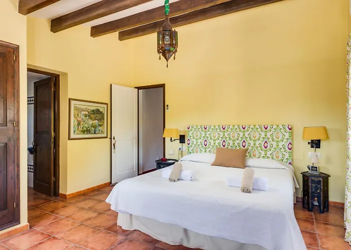 Rocas * 阿莱奥尔